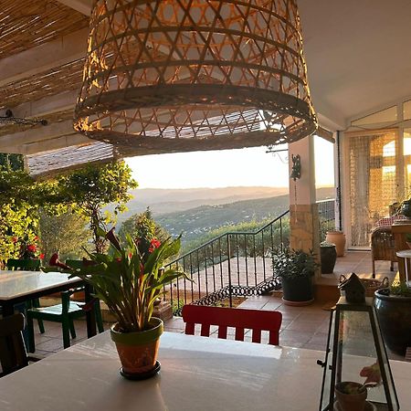 Bed and Breakfast El Nispero Dulce Alcaucín Exteriér fotografie