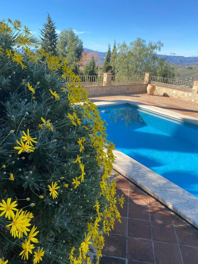 Bed and Breakfast El Nispero Dulce Alcaucín Exteriér fotografie