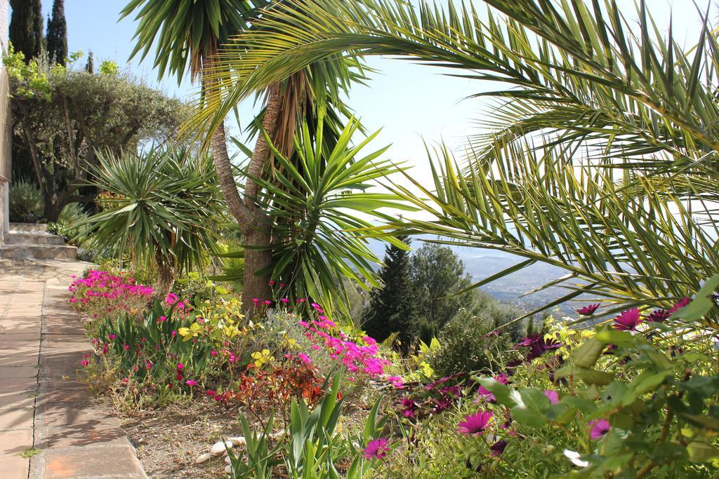 Bed and Breakfast El Nispero Dulce Alcaucín Exteriér fotografie