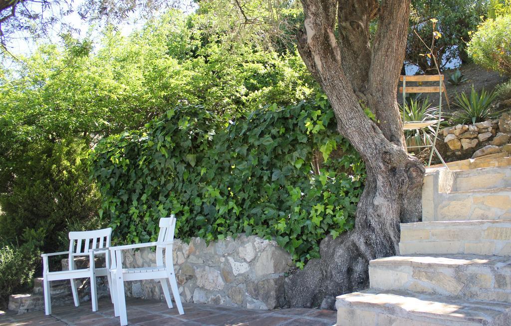 Bed and Breakfast El Nispero Dulce Alcaucín Exteriér fotografie